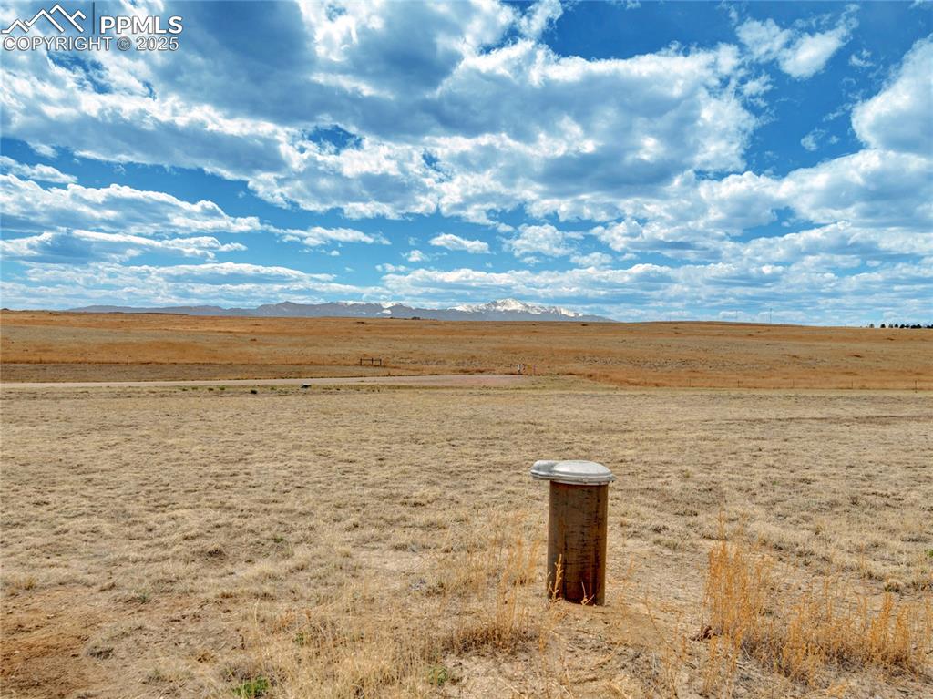 Image 14 of 14: Other