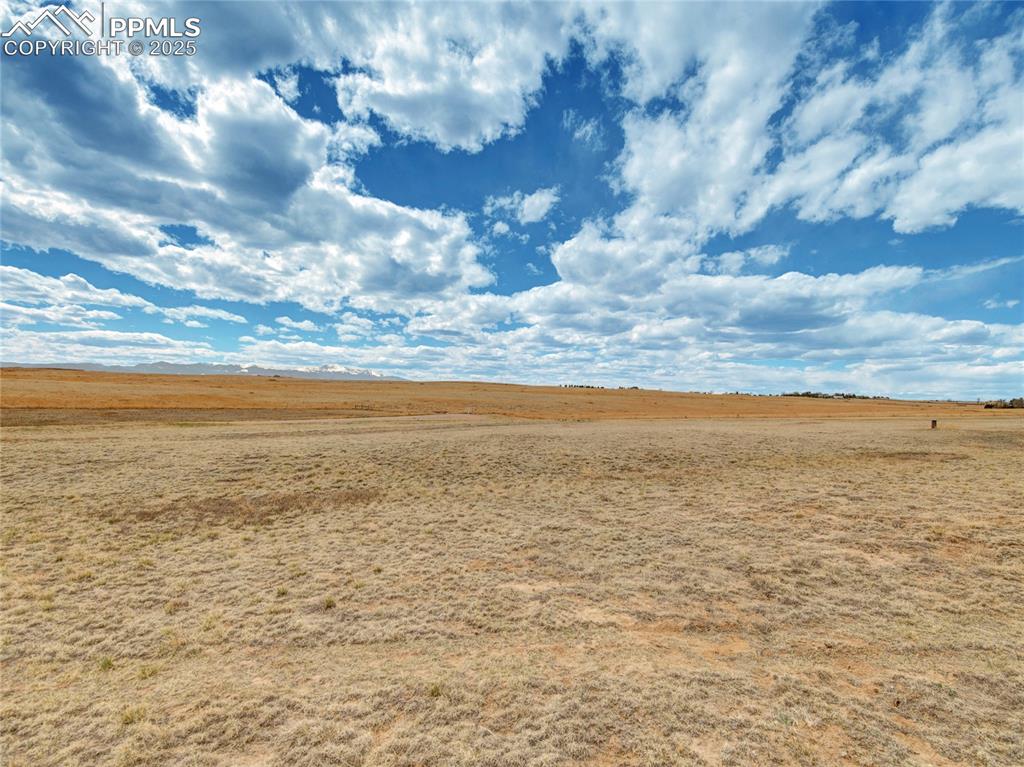 Image 6 of 14: Other