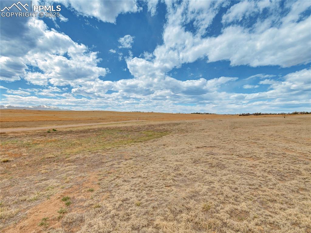 Image 7 of 14: Other