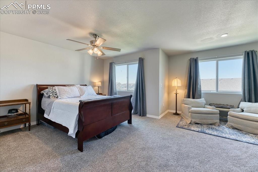 Image 20 of 39: Bedroom featuring a textured ceiling, multiple windows, light carpet, and a