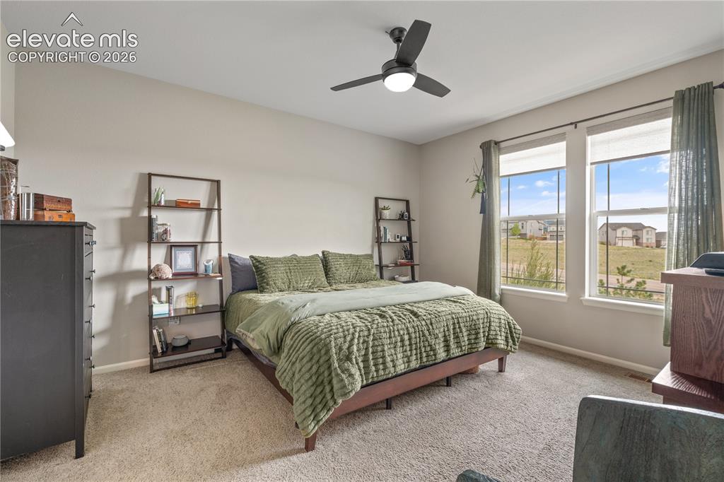 Image 19 of 38: Carpeted bedroom featuring a ceiling fan with integrated lighting, two larg