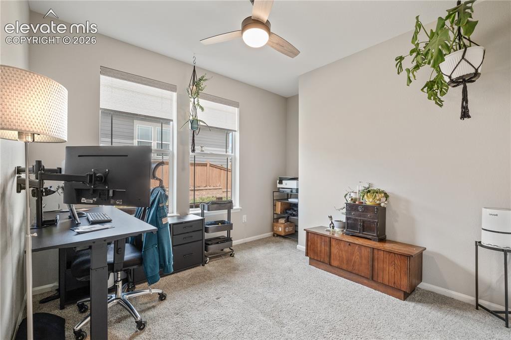 Image 27 of 38: Carpeted room featuring light gray walls, two tall windows with shades, and