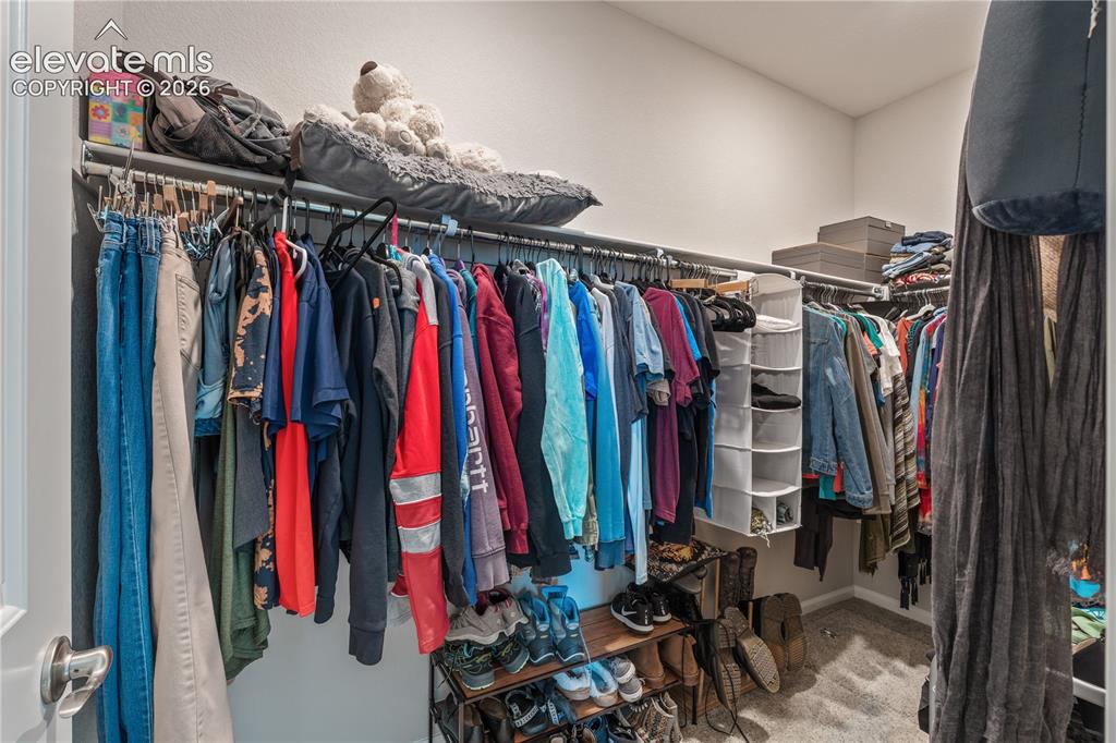 Image 30 of 38: Recessed walk-in closet featuring built-in shelving, carpet flooring, and w