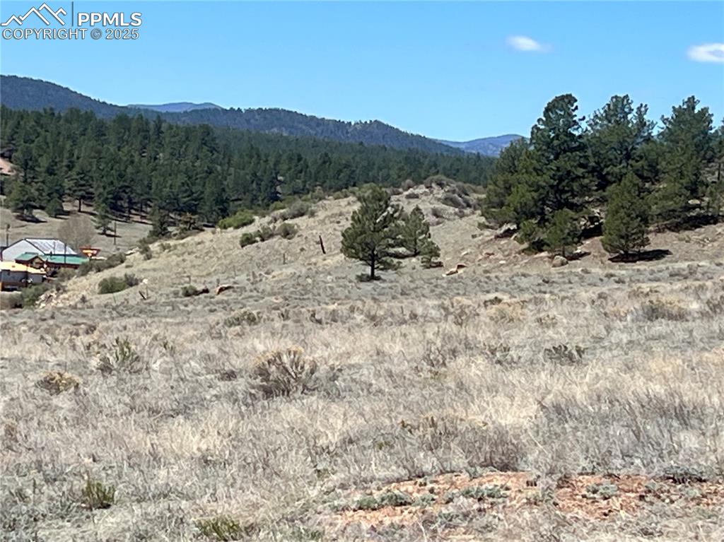 Image 8 of 17: View