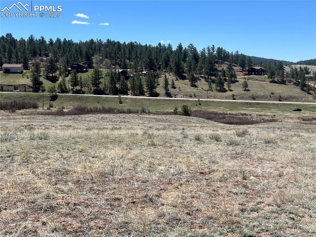 Image 9 of 17: View