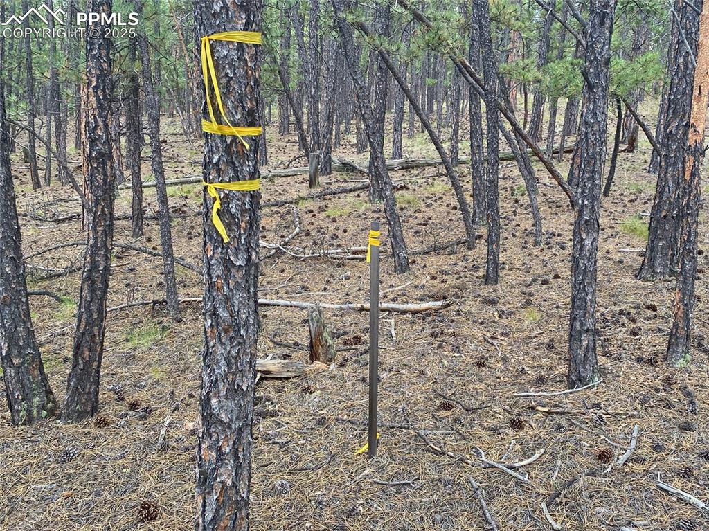 Image 4 of 15: Other