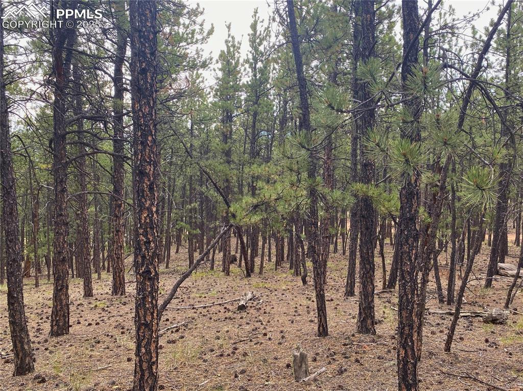 Image 5 of 15: Other