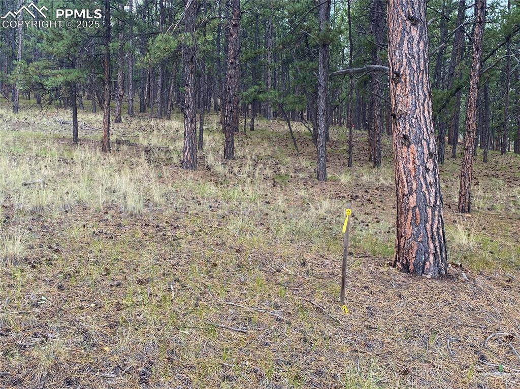 Image 8 of 15: Other