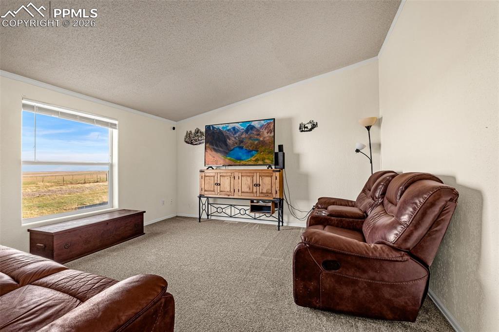 Image 10 of 35: Family Room or Non Conforming Bedroom