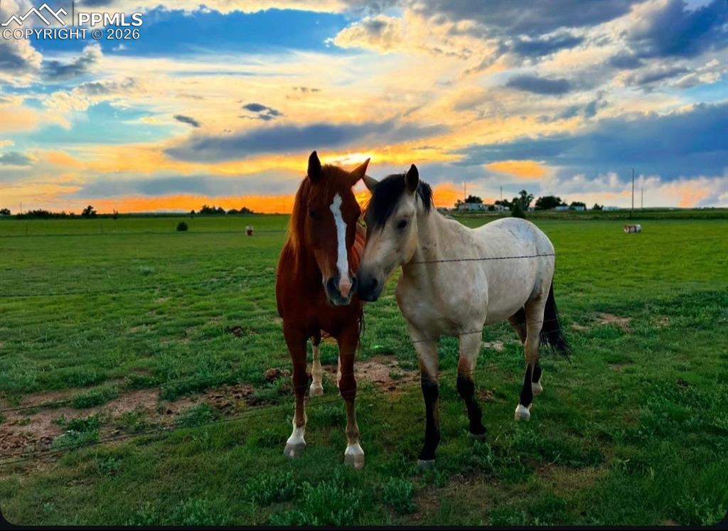 Image 34 of 35: One of the Pastures