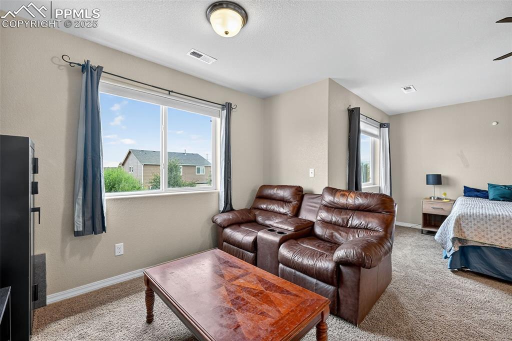 Image 22 of 33: Living room featuring carpet floors, healthy amount of natural light, a tex