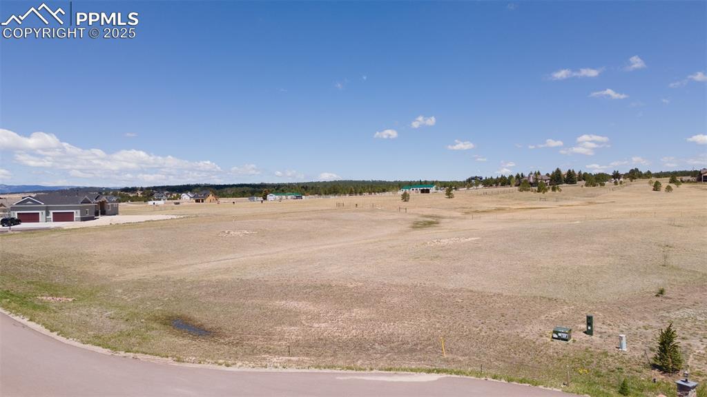 Image 2 of 10: View of bird