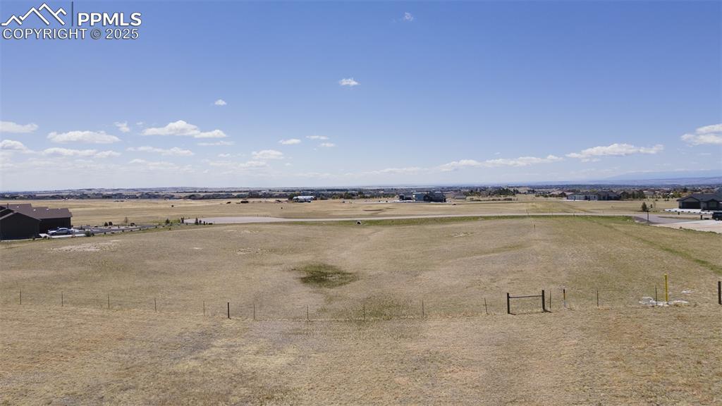 Image 3 of 10: View of bird