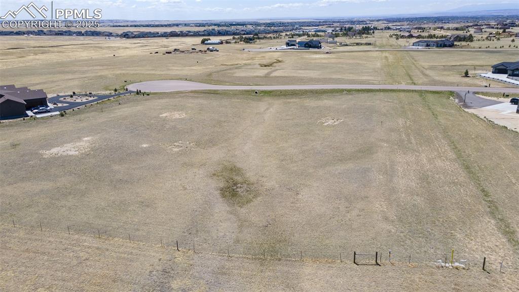 Image 4 of 10: View of bird