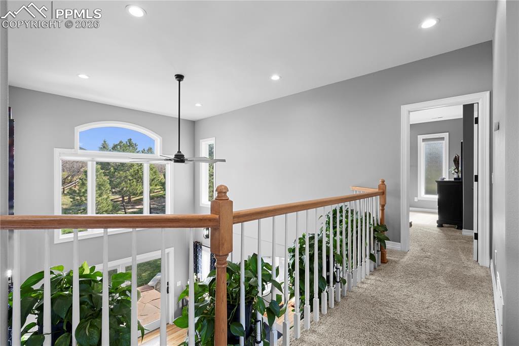 Image 14 of 50: Other