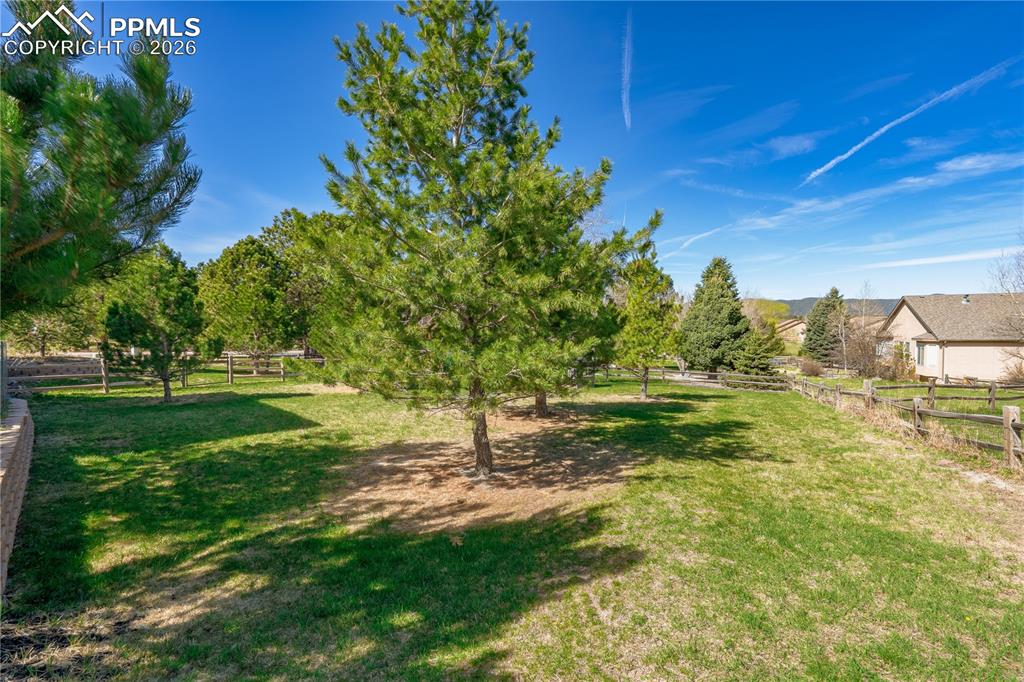 Image 36 of 50: Yard