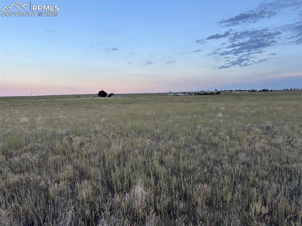 Image 10 of 16: Other