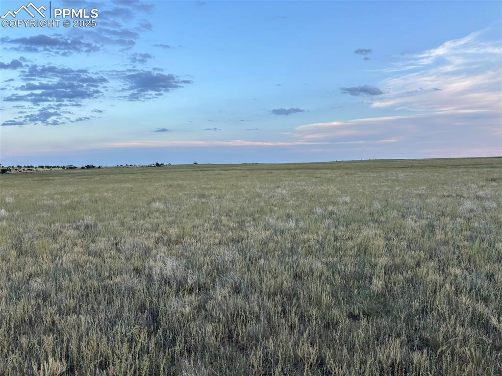 Image 11 of 16: Other