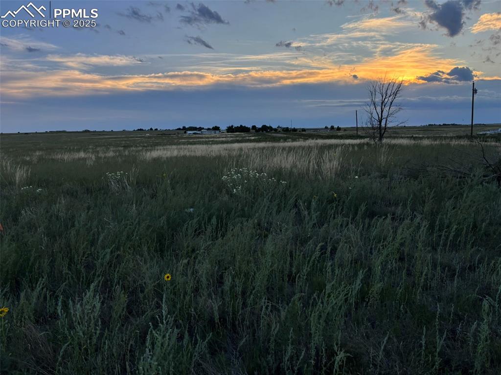 Image 12 of 16: Other