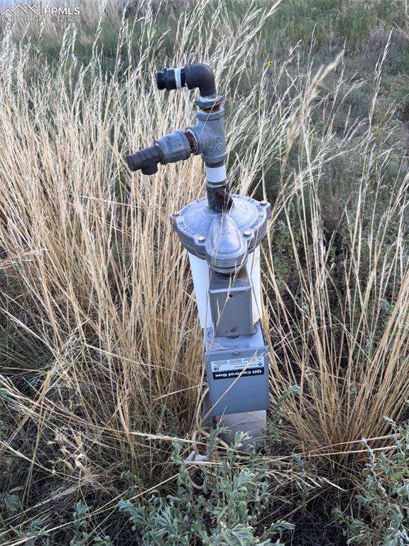 Image 14 of 16: Other