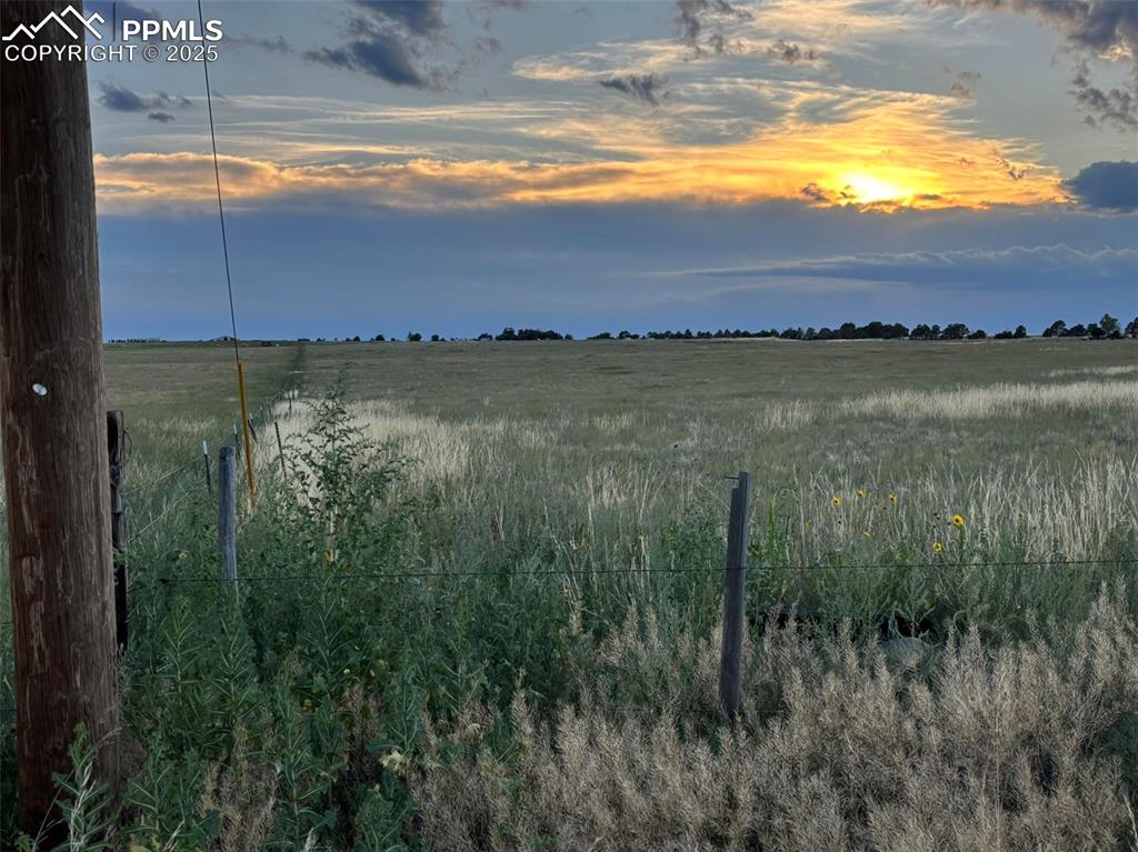 Image 3 of 16: Other