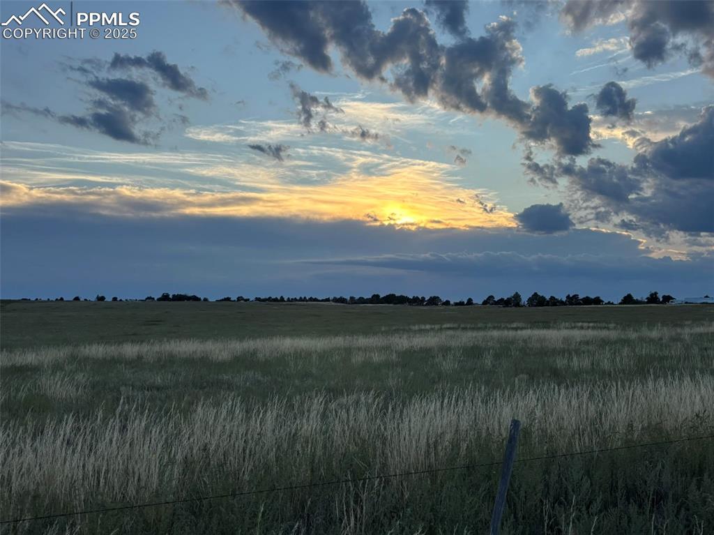 Image 5 of 16: Other