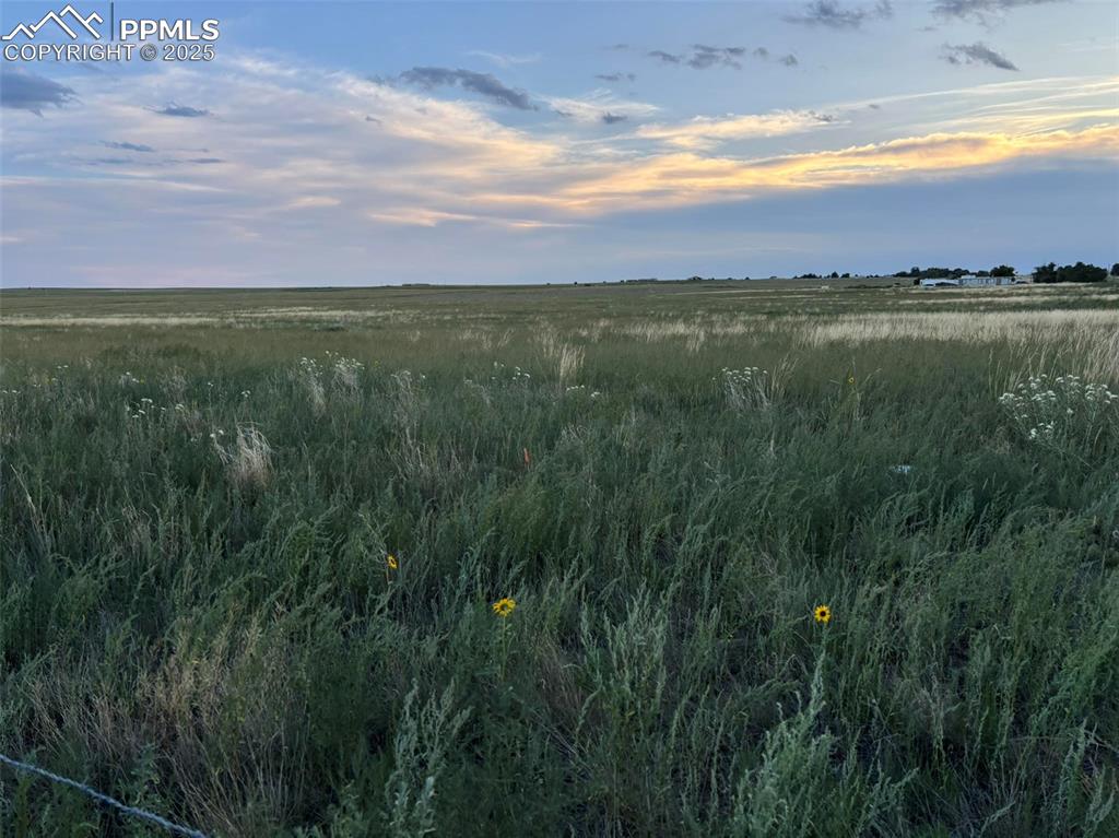 Image 6 of 16: Other