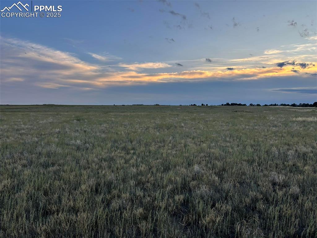 Image 7 of 16: Other