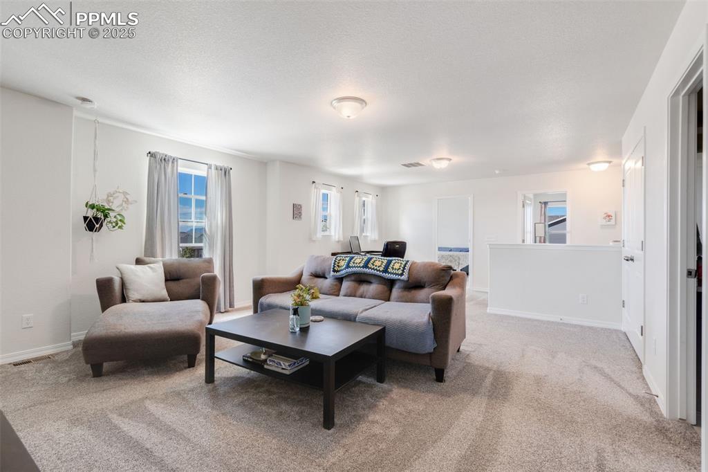 Image 17 of 31: Living Room