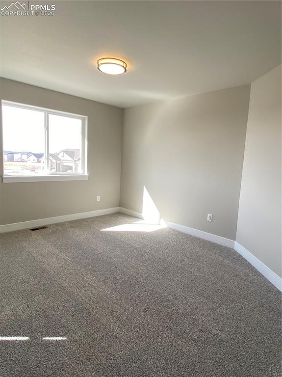 Image 28 of 31: Other