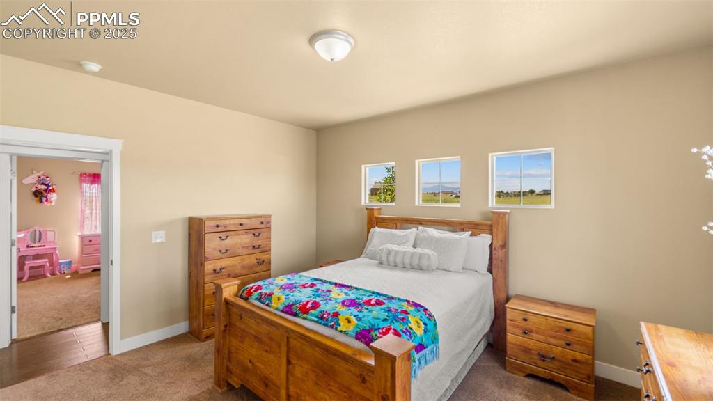 Image 18 of 50: Bedroom with carpet floors and multiple windows
