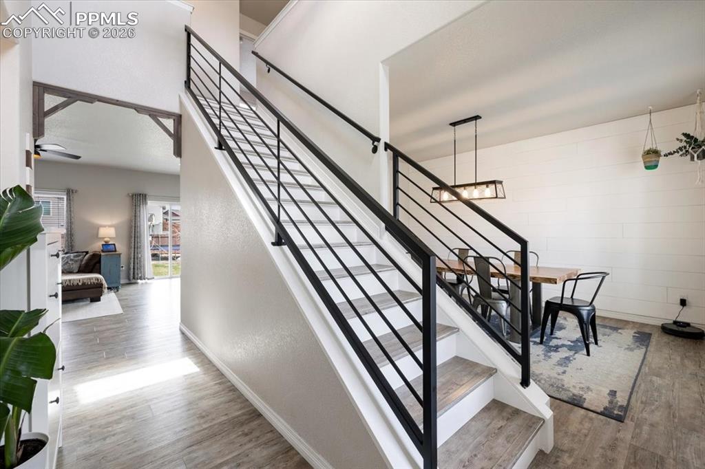 Image 17 of 50: Other