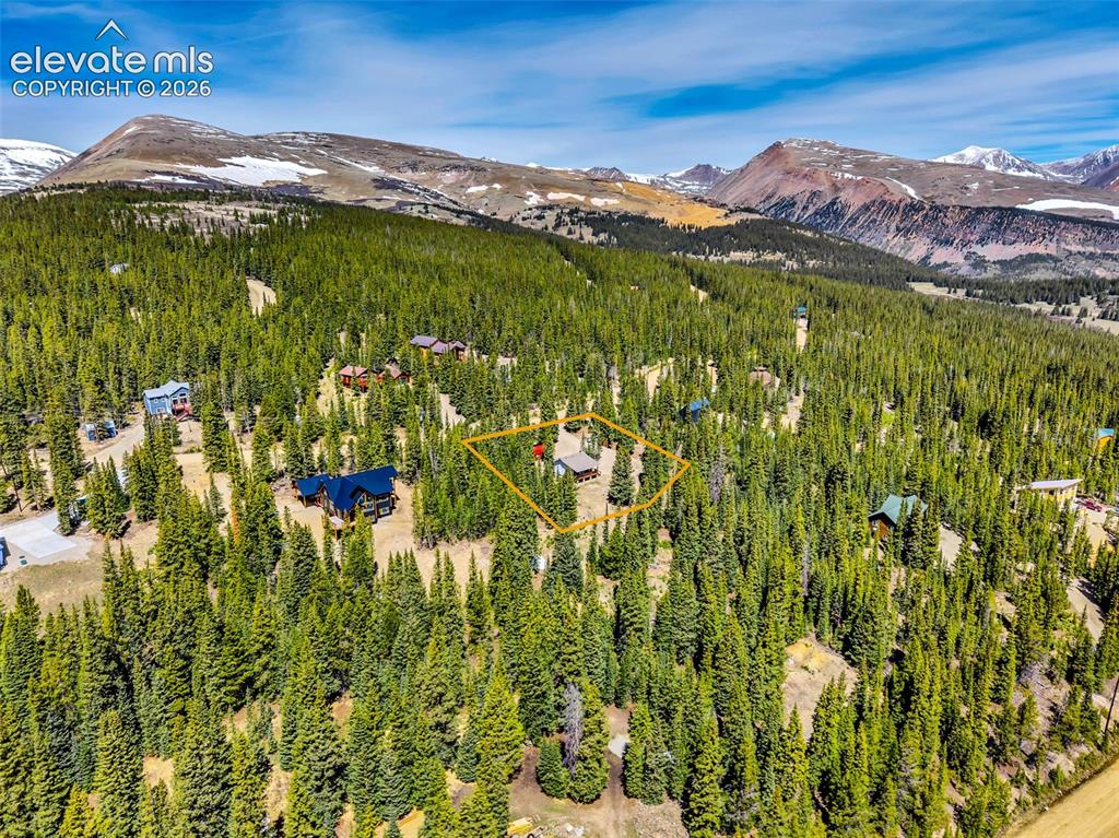Image 33 of 37: Expansive mountain property with a dense forest of evergreen trees