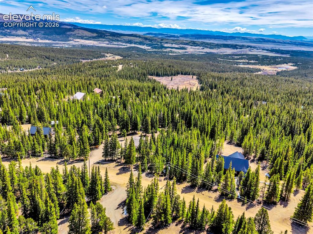 Image 34 of 37: Extensive treed landscape featuring multiple residential properties and dis
