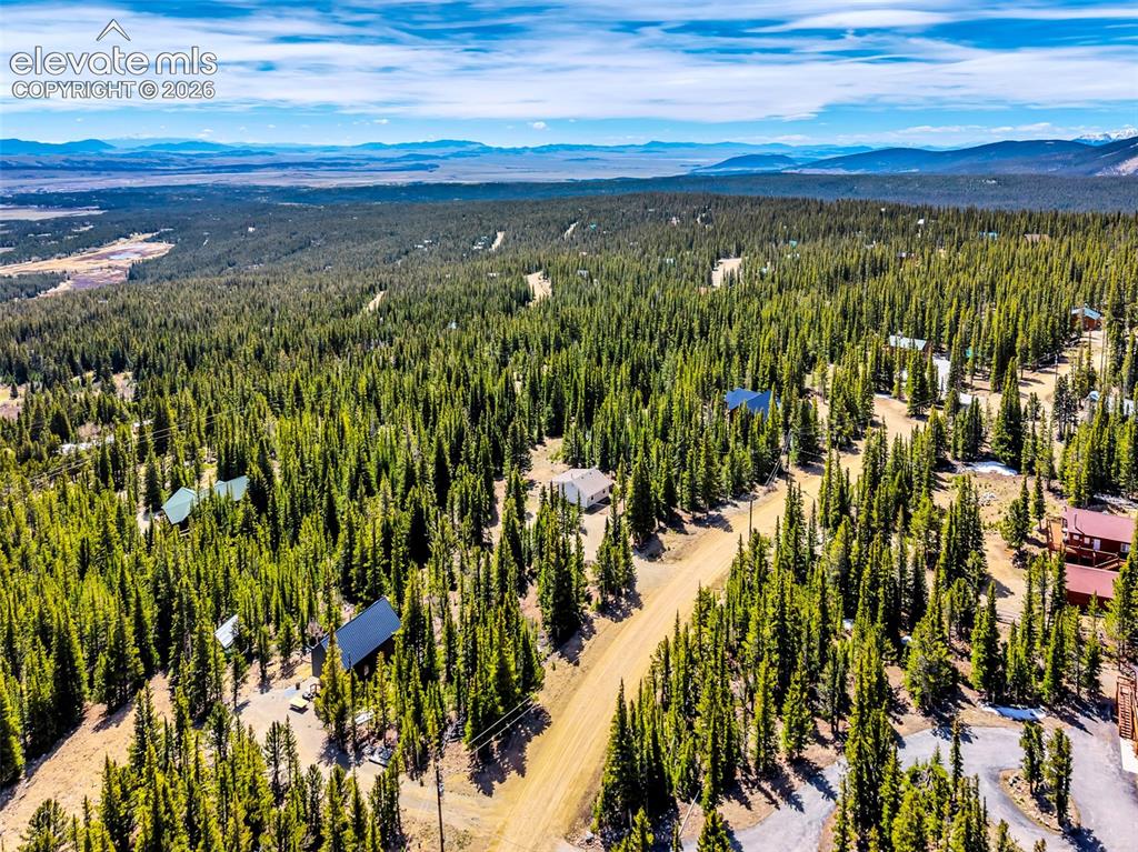 Image 35 of 37: Expansive forested terrain with scattered residential properties