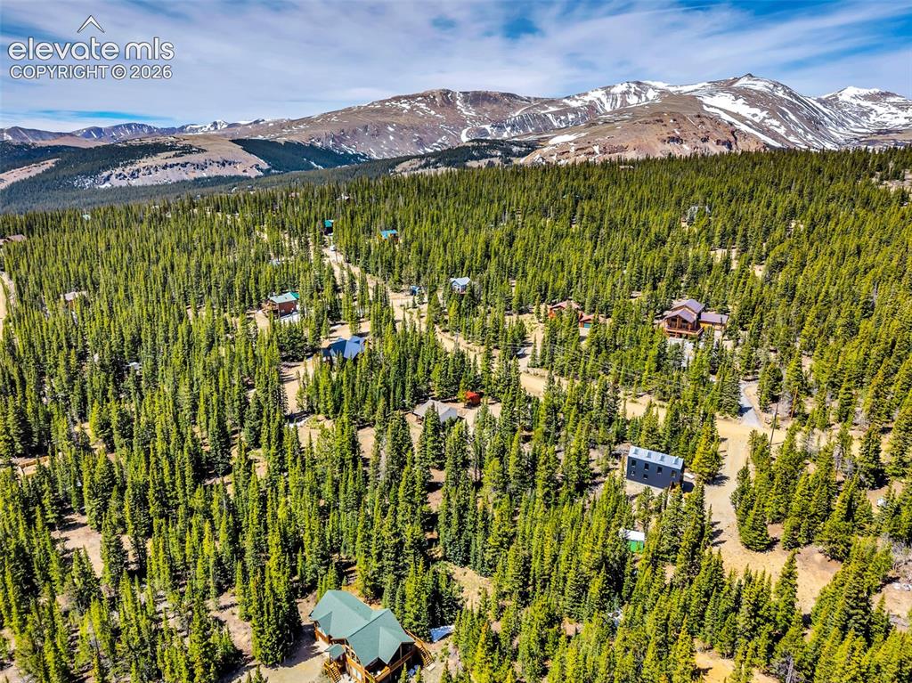 Image 36 of 37: Expansive forested landscape featuring numerous residences amidst mature ev