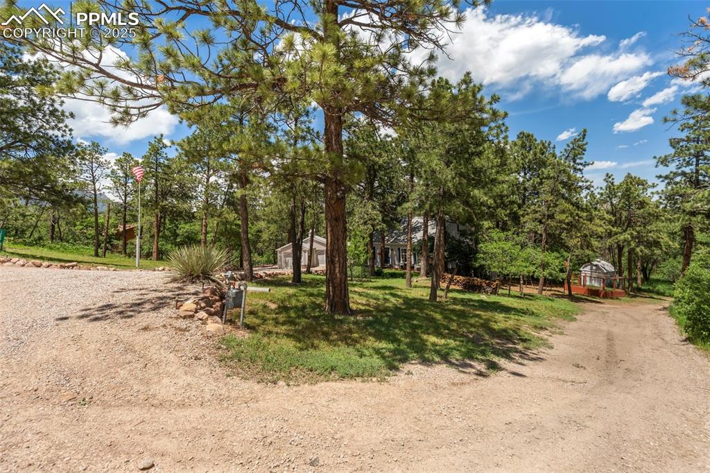 Image 5 of 50: View of dirt / gravel driveway with view of wooded area