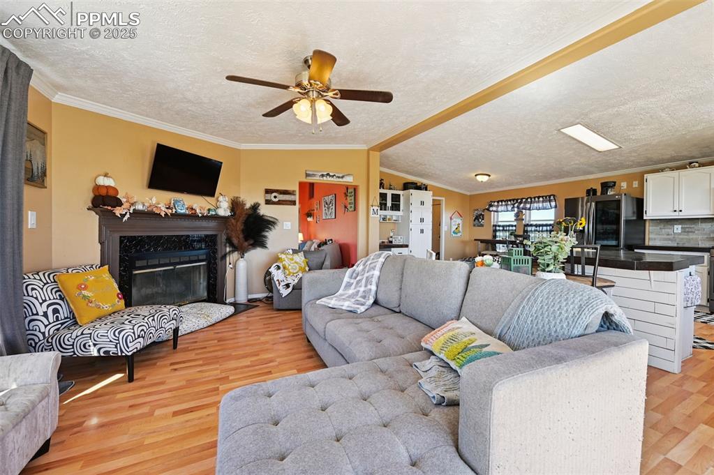 Image 17 of 48: Living room featuring ornamental molding, vaulted ceiling, a textured ceili