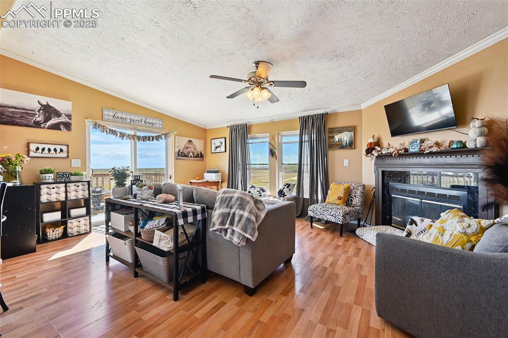 Image 19 of 48: Living area with light wood-style flooring, a textured ceiling, crown moldi
