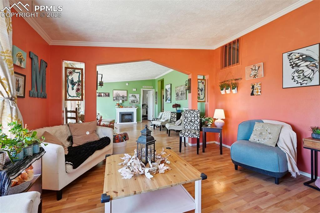 Image 28 of 48: Living room with a textured ceiling, a fireplace, ornamental molding, light