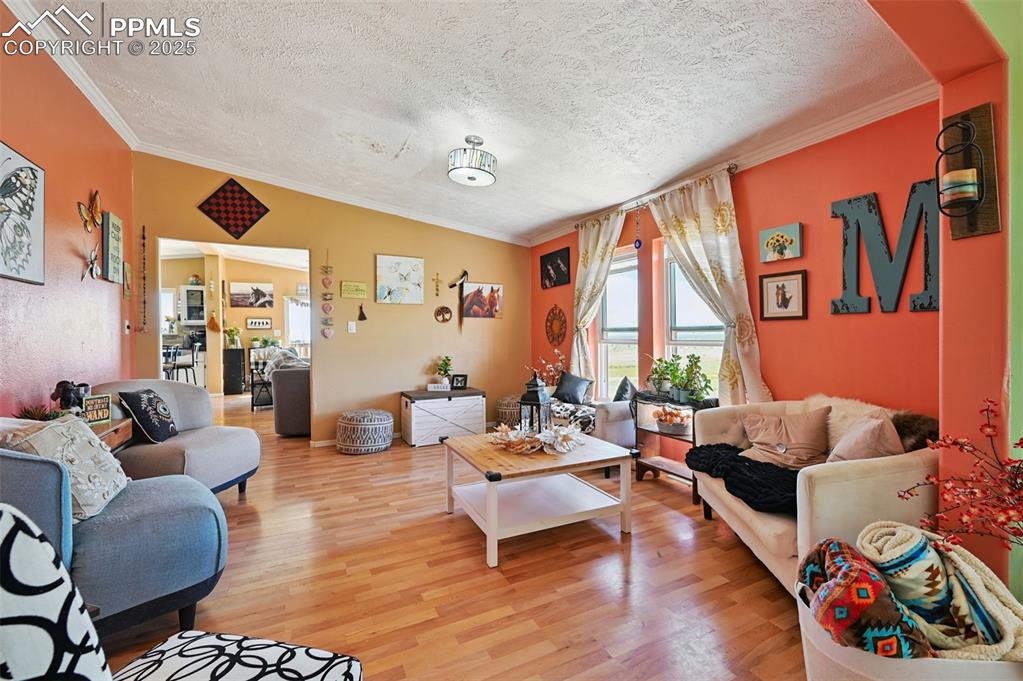 Image 29 of 48: Living room featuring ornamental molding, a textured ceiling, and light woo