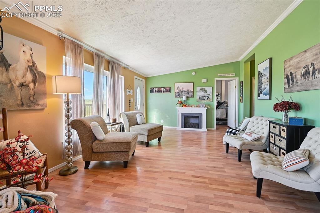 Image 30 of 48: Living room featuring a fireplace, a textured ceiling, light wood-style flo