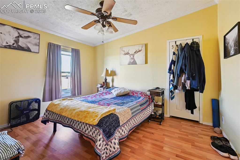 Image 33 of 48: Bedroom with a textured ceiling, crown molding, wood finished floors, ceili