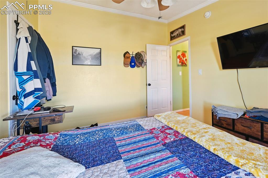 Image 34 of 48: Bedroom with crown molding and a ceiling fan
