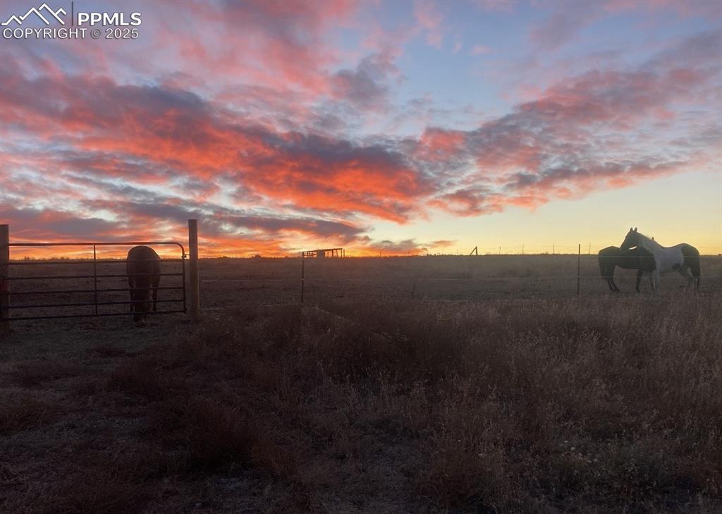 Image 46 of 48: View of yard with a view of rural / pastoral area