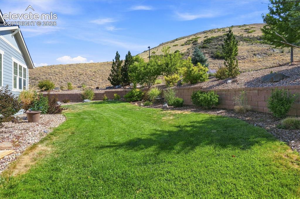 Image 8 of 44: Yard