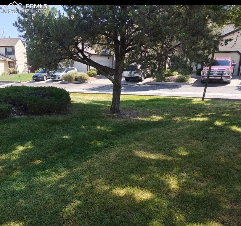 Image 15 of 17: View of grassy yard