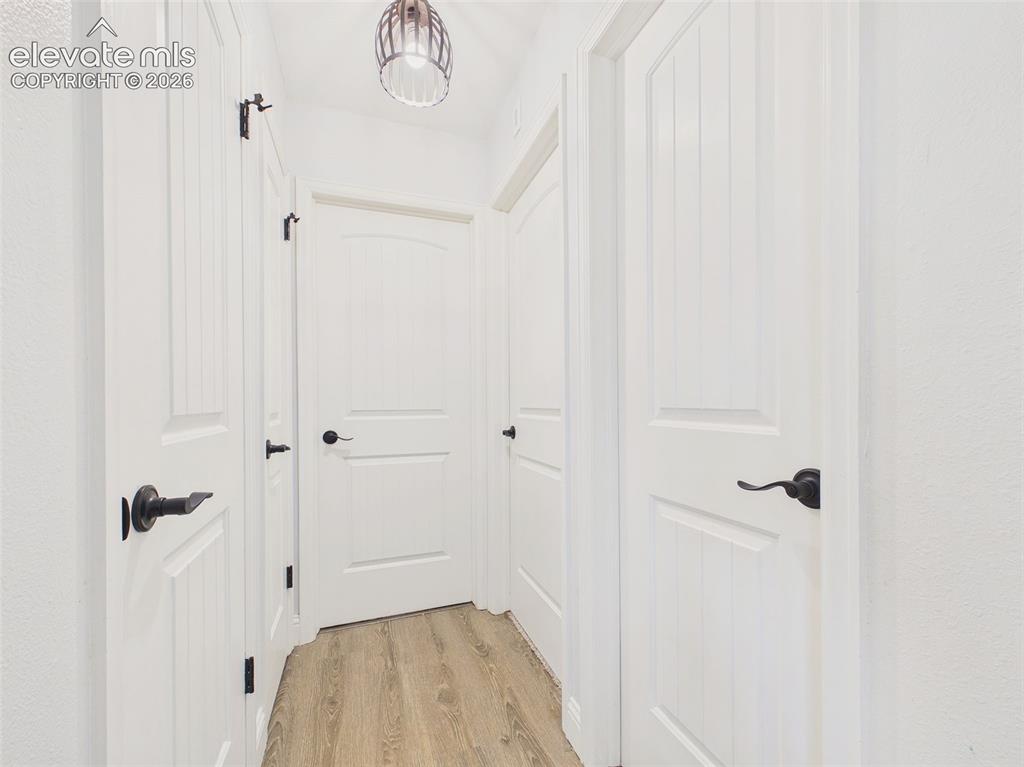 Image 22 of 50: Bright interior hallway showcases updated paneled doors with contrasting da