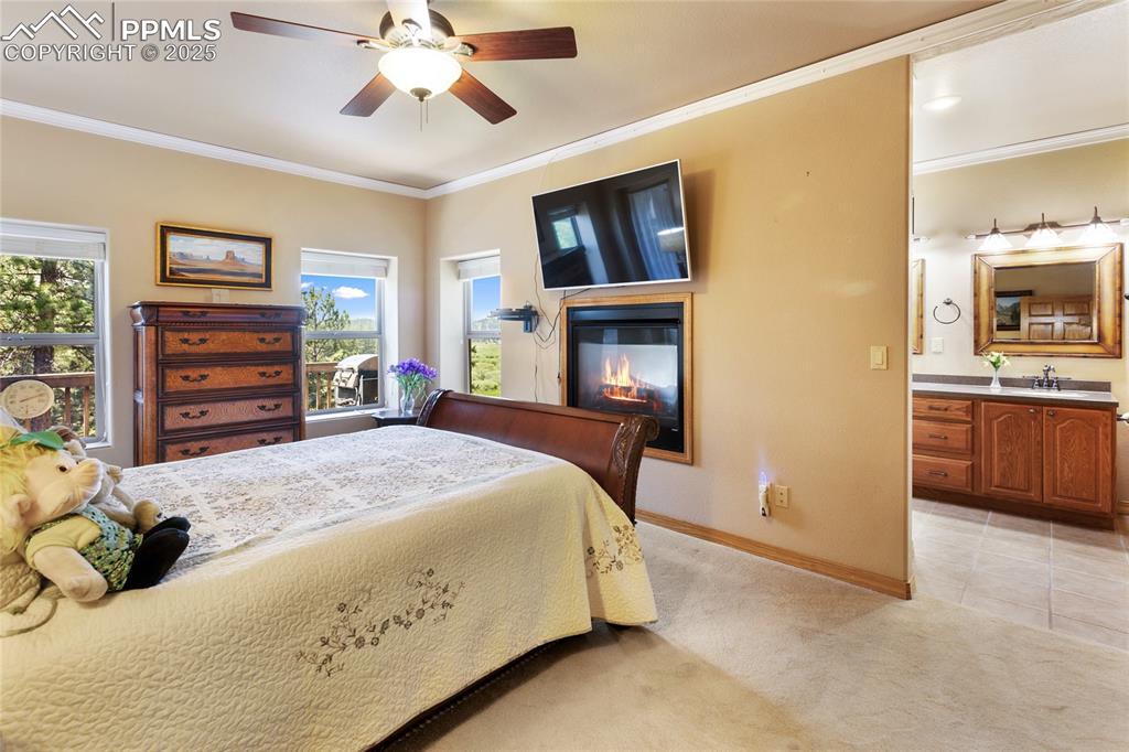Image 22 of 47: The main bedroom features crown molding, light-colored carpet, a ceiling fa