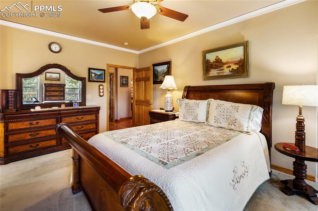 Image 24 of 47: The main bedroom features light carpet, crown molding, and a ceiling fan.